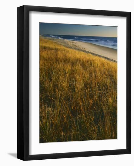 Assateague Island National Seashore, Virginia, USA-Charles Gurche-Framed Photographic Print