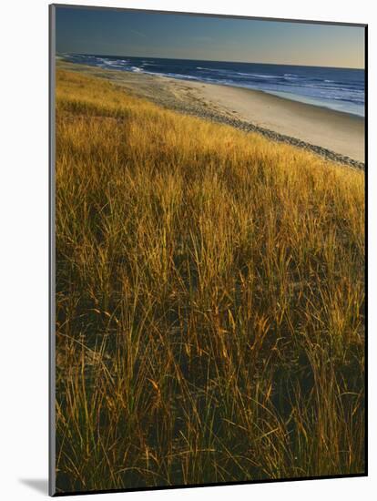 Assateague Island National Seashore, Virginia, USA-Charles Gurche-Mounted Photographic Print