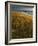 Assateague Island National Seashore, Virginia, USA-Charles Gurche-Framed Photographic Print