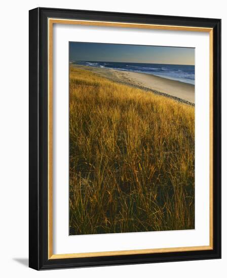 Assateague Island National Seashore, Virginia, USA-Charles Gurche-Framed Photographic Print