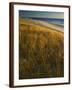 'Assateague Island National Seashore, Virginia, USA' Photographic Print ...