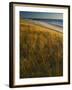 'Assateague Island National Seashore, Virginia, USA' Photographic Print ...