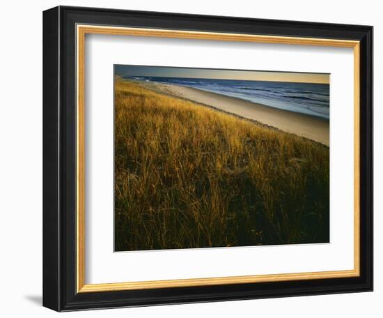 Assateague Island National Seashore, Virginia, USA-Charles Gurche-Framed Photographic Print