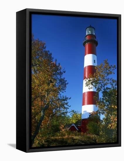 Assateague Lighthouse, Assateague Island, Virginia, USA-Charles Gurche-Framed Premier Image Canvas