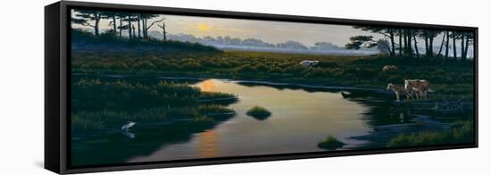 Assateague Sunset-Wilhelm Goebel-Framed Premier Image Canvas