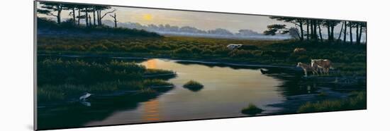 Assateague Sunset-Wilhelm Goebel-Mounted Giclee Print