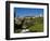 Assisi, UNESCO World Heritage Site, Umbria, Italy, Europe-Charles Bowman-Framed Photographic Print