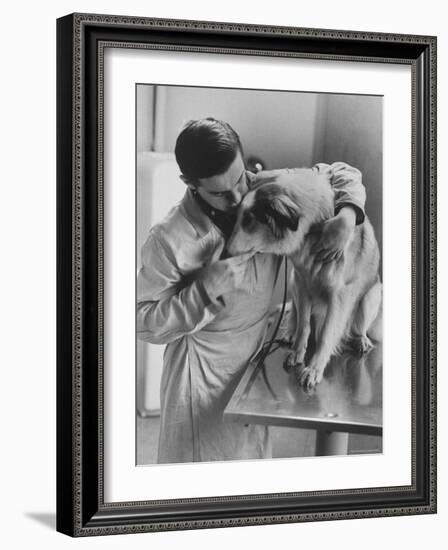 Assistant Caring For a Dog at the Humane Society-Paul Schutzer-Framed Photographic Print