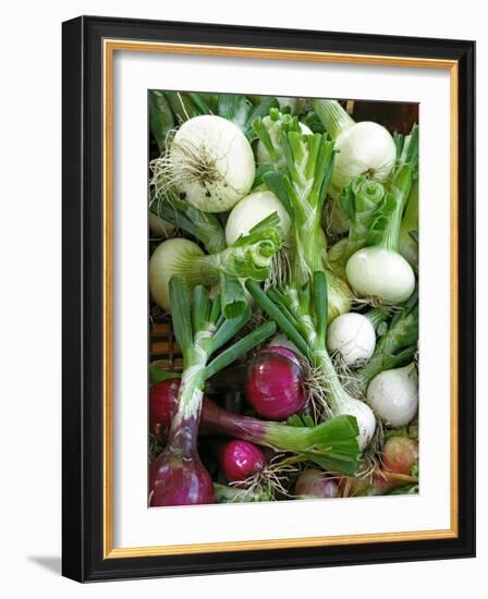 Assorted Alliums-Bjorn Svensson-Framed Photographic Print