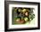 Assorted Apples in a Basket-Bodo A^ Schieren-Framed Photographic Print