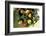 Assorted Apples in a Basket-Bodo A^ Schieren-Framed Photographic Print