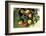 Assorted Apples in a Basket-Bodo A^ Schieren-Framed Photographic Print