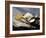 Assorted Asian Noodles and Rice-Susie M^ Eising-Framed Photographic Print