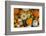 Assorted autumn vegetables, squashes and pumpkins, Derbyshire, England, United Kingdom, Europe-Frank Fell-Framed Photographic Print