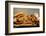 Assorted Baked Goods and Cereal Ears (Free-Standing)-Rauzier-Riviere-Framed Photographic Print