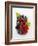 Assorted Berries and Two Cherries in Plastic Punnet-null-Framed Photographic Print