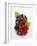 Assorted Berries and Two Cherries in Plastic Punnet-null-Framed Photographic Print