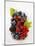 Assorted Berries and Two Cherries in Plastic Punnet-null-Mounted Photographic Print