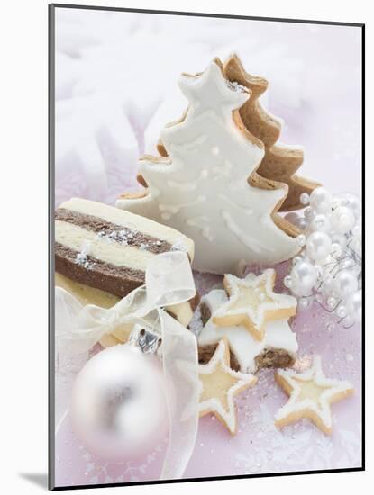 Assorted Christmas Biscuits-null-Mounted Photographic Print