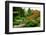 Assorted Colors of the Japanese Garden-neelsky-Framed Photographic Print