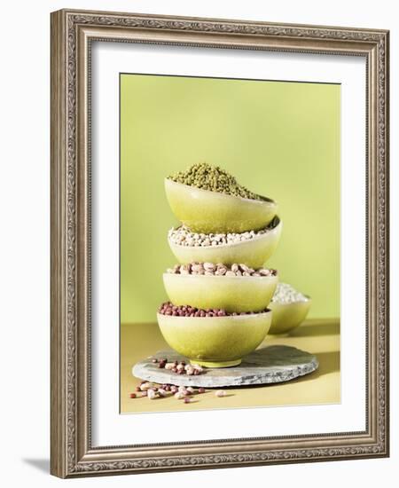 Assorted Dried Lentils and Beans in Bowls-Armin Zogbaum-Framed Photographic Print