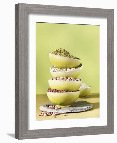 Assorted Dried Lentils and Beans in Bowls-Armin Zogbaum-Framed Photographic Print