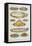 Assorted Fish Dishes Including Salmon, Trout, Cod and Scallops-Isabella Beeton-Framed Premier Image Canvas