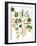 Assorted Foods-Wayne Anderson-Framed Giclee Print