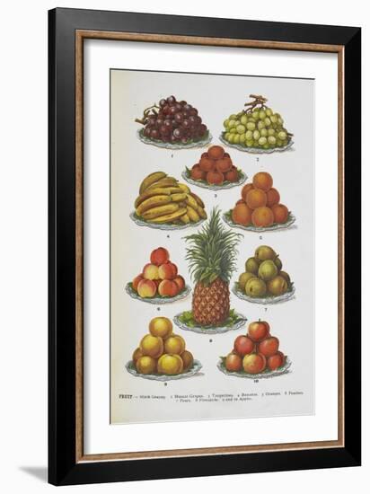 Assorted Fruits Including Pineapple-Isabella Beeton-Framed Giclee Print