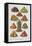 Assorted Fruits Including Pineapple-Isabella Beeton-Framed Premier Image Canvas