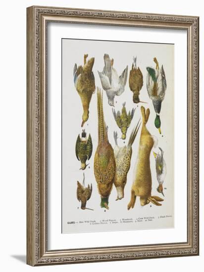 Assorted Game Including Rabbit, Duck, Snipe, Pigeon and Pheasants-Isabella Beeton-Framed Giclee Print