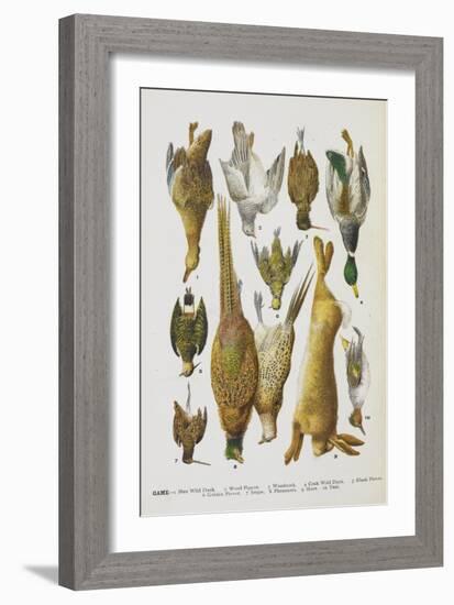 Assorted Game Including Rabbit, Duck, Snipe, Pigeon and Pheasants-Isabella Beeton-Framed Giclee Print