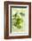 Assorted Green Vegetables on Porcelain Plate-Ulrike Koeb-Framed Photographic Print