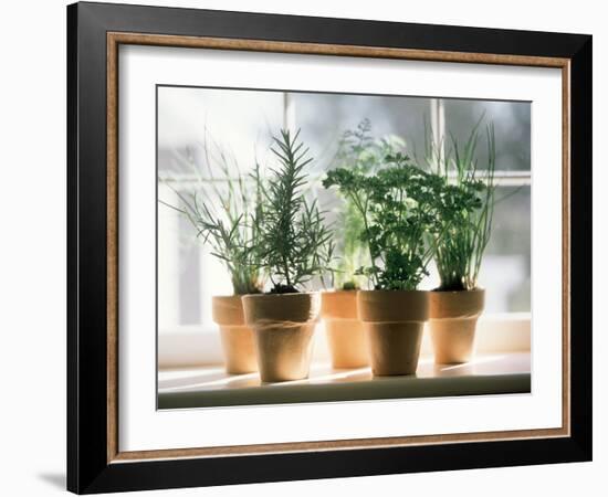 Assorted Herbs Growing in Clay Pots; Window Sill-Eising Studio - Food Photo and Video-Framed Photographic Print