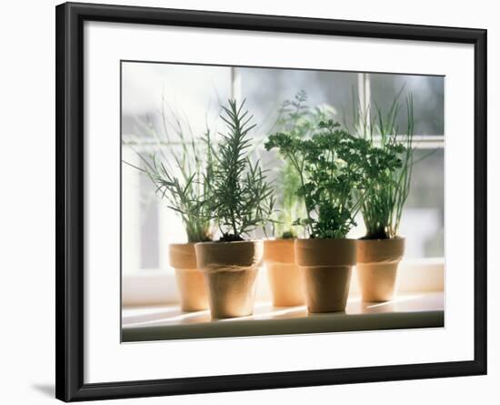 Assorted Herbs Growing in Clay Pots; Window Sill-Eising Studio - Food Photo and Video-Framed Photographic Print