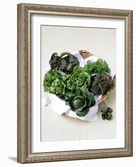 Assorted Lettuce Heads-Kit Latham-Framed Photographic Print