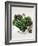 Assorted Lettuce Heads-Kit Latham-Framed Photographic Print