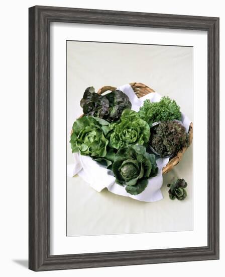 Assorted Lettuce Heads-Kit Latham-Framed Photographic Print