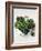 Assorted Lettuce Heads-Kit Latham-Framed Photographic Print