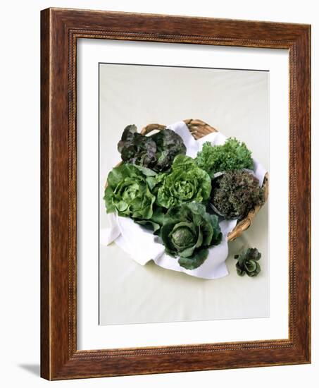 Assorted Lettuce Heads-Kit Latham-Framed Photographic Print