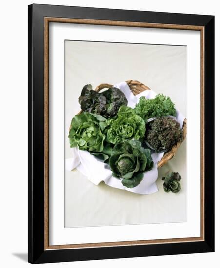 Assorted Lettuce Heads-Kit Latham-Framed Photographic Print