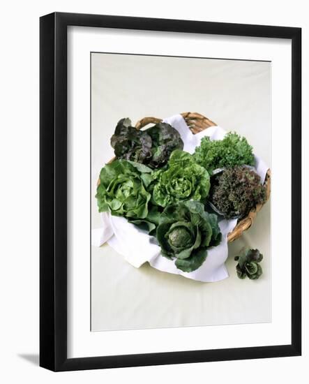 Assorted Lettuce Heads-Kit Latham-Framed Photographic Print