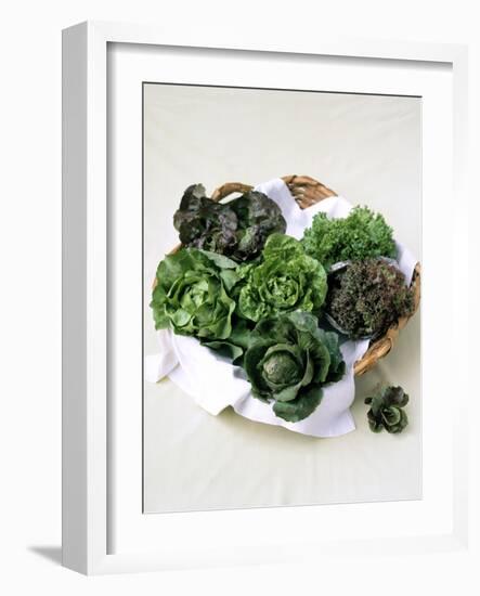 Assorted Lettuce Heads-Kit Latham-Framed Photographic Print