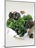 Assorted Lettuce Heads-Kit Latham-Mounted Photographic Print