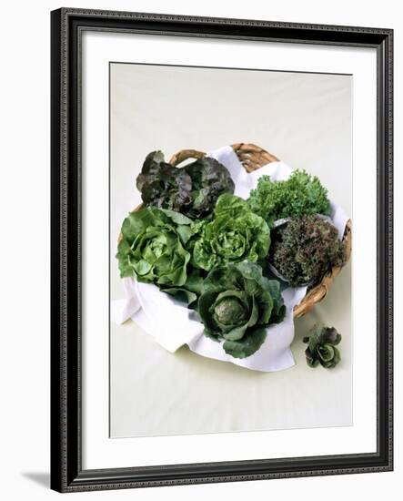 Assorted Lettuce Heads-Kit Latham-Framed Photographic Print