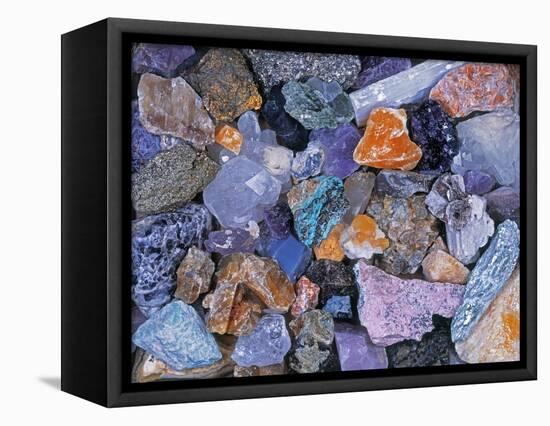 Assorted Minerals of the World-Walter Geiersperger-Framed Premier Image Canvas