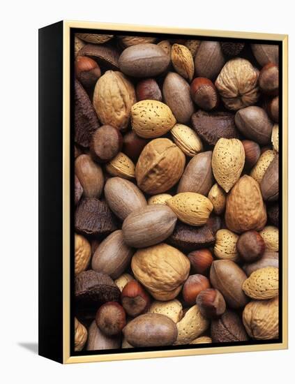 Assorted Nuts-Vladimir Shulevsky-Framed Premier Image Canvas