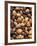 Assorted Nuts-Vladimir Shulevsky-Framed Photographic Print