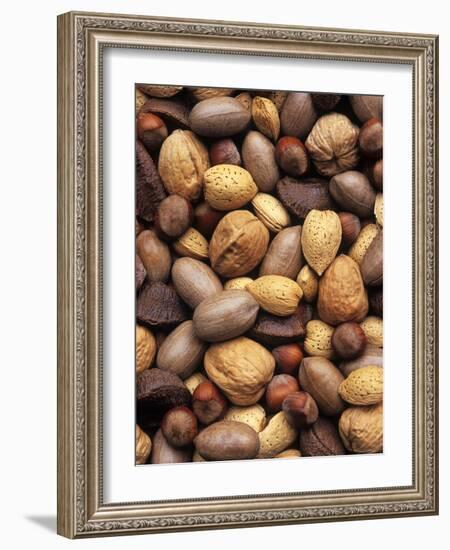 Assorted Nuts-Vladimir Shulevsky-Framed Photographic Print