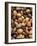 Assorted Nuts-Vladimir Shulevsky-Framed Photographic Print